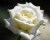 White Rose