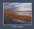 Picture Title - Marshland Reflections