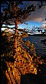 Picture Title - Morning Reds