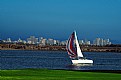 Picture Title - Sail though the city