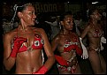 Picture Title - School of Samba /7/