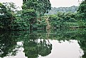 Picture Title - The Green of the River