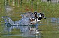 Running on Water