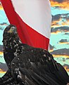 Picture Title - Bald eagle