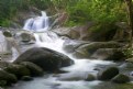 Picture Title - Josephine Falls II