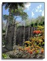 Picture Title - Tropical garden