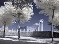 Picture Title - Temple of Love (IR)