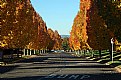 Picture Title - Fall Colors