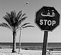 Picture Title - stoP