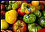 Ugly Tomatos