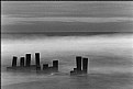 Picture Title - pilings