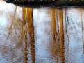 Picture Title - Reflective Pond