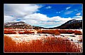 Picture Title - First Snow...