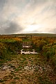 Picture Title - Moorland Gate