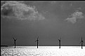 Picture Title - windmills