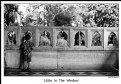 Picture Title - Little In The Window