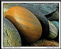 Picture Title - Pebble procession