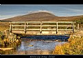 Picture Title - Wooden Bridge