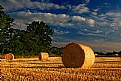 Picture Title - Harvest Sunset