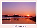 Picture Title - birds at sunset