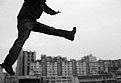 Picture Title - Fly