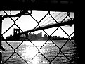 Picture Title - Brooklyn Bridge