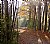Trail in the Park