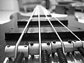Picture Title - my bass guitar 2