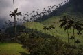 Picture Title - Cocora