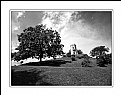 Picture Title - Tassino Park -3- (8502)