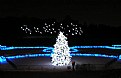 Picture Title - Christmas Lights II