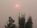 Picture Title - LONELY