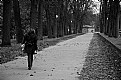 Picture Title - Lonely lady