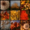 united colors of autumn