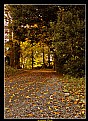 Picture Title - Autumn Paths
