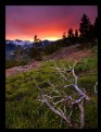 Picture Title - Sierra Sunset 3