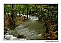 Picture Title - Stream and Autumn