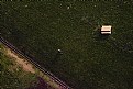Picture Title - down