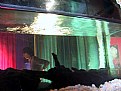 Picture Title - The aq