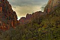 Picture Title - somewhere in Zion National Park Utah