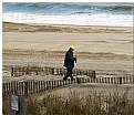 Picture Title - Lunch On The Beach