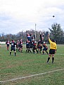 Picture Title - terny rugby