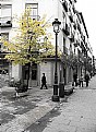 Picture Title - Madrid in Autumn