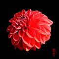 Picture Title - red