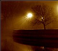 Picture Title - ..Night of a rain and fog...