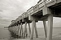 Picture Title - beach goers