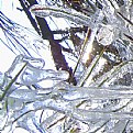 Picture Title - ice