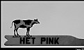 Picture Title - Het Pink