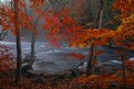 Picture Title - Autumn Splash