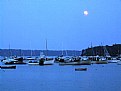 Picture Title - Moonlight on the Harbor